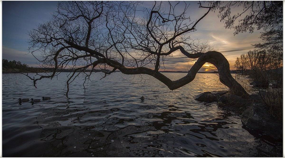 швеция, Lapland