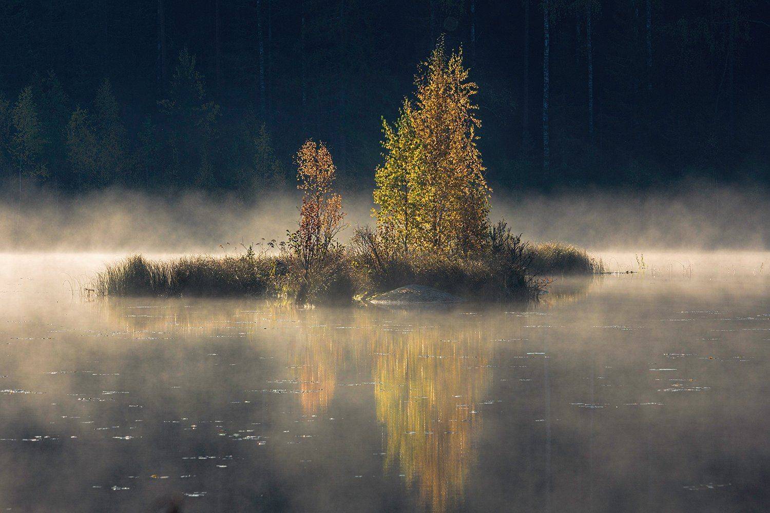 ленинградская обл,карельский перешеек,озеро треугольное, alexOmRam