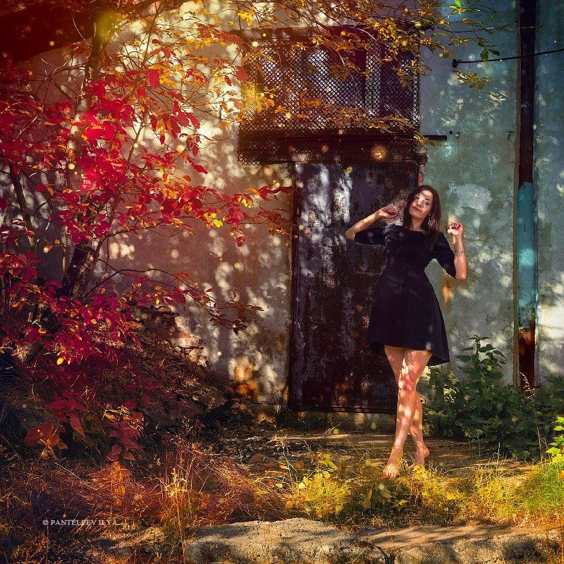 *** фото превью