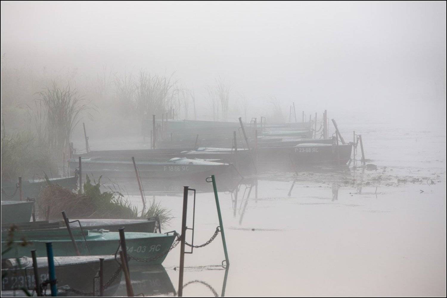 Россия, Ярославская обл, Ростов, Александр Марецкий