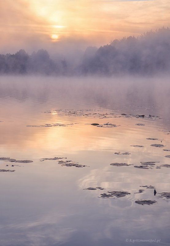 ... фото превью