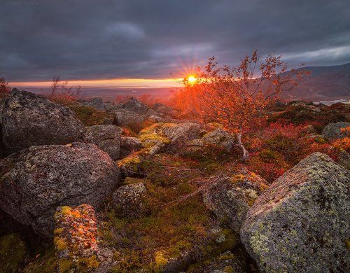 осеннее солнышко