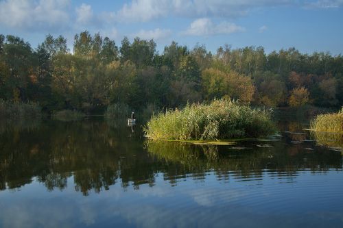 Охота на рыбалке ...