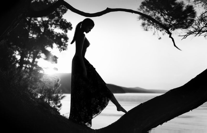 Тинико фото превью