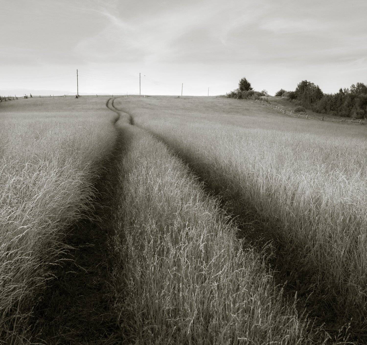 , Федотов Сергей