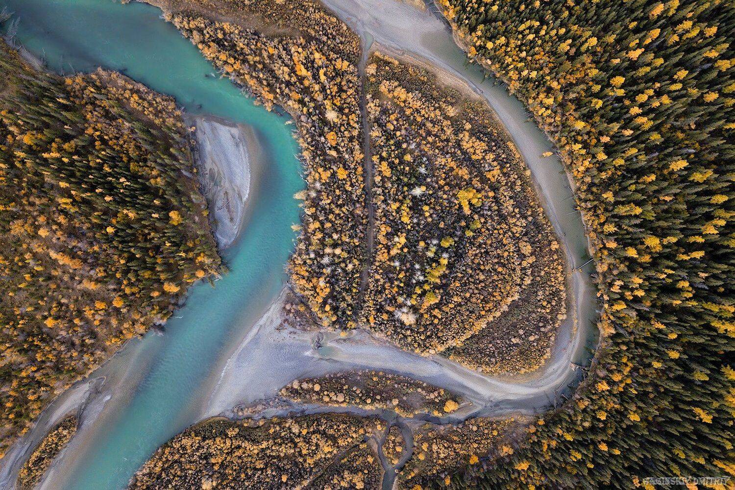 алтай, осень, река, лес, пейзаж, Dmitriy  Baginskiy