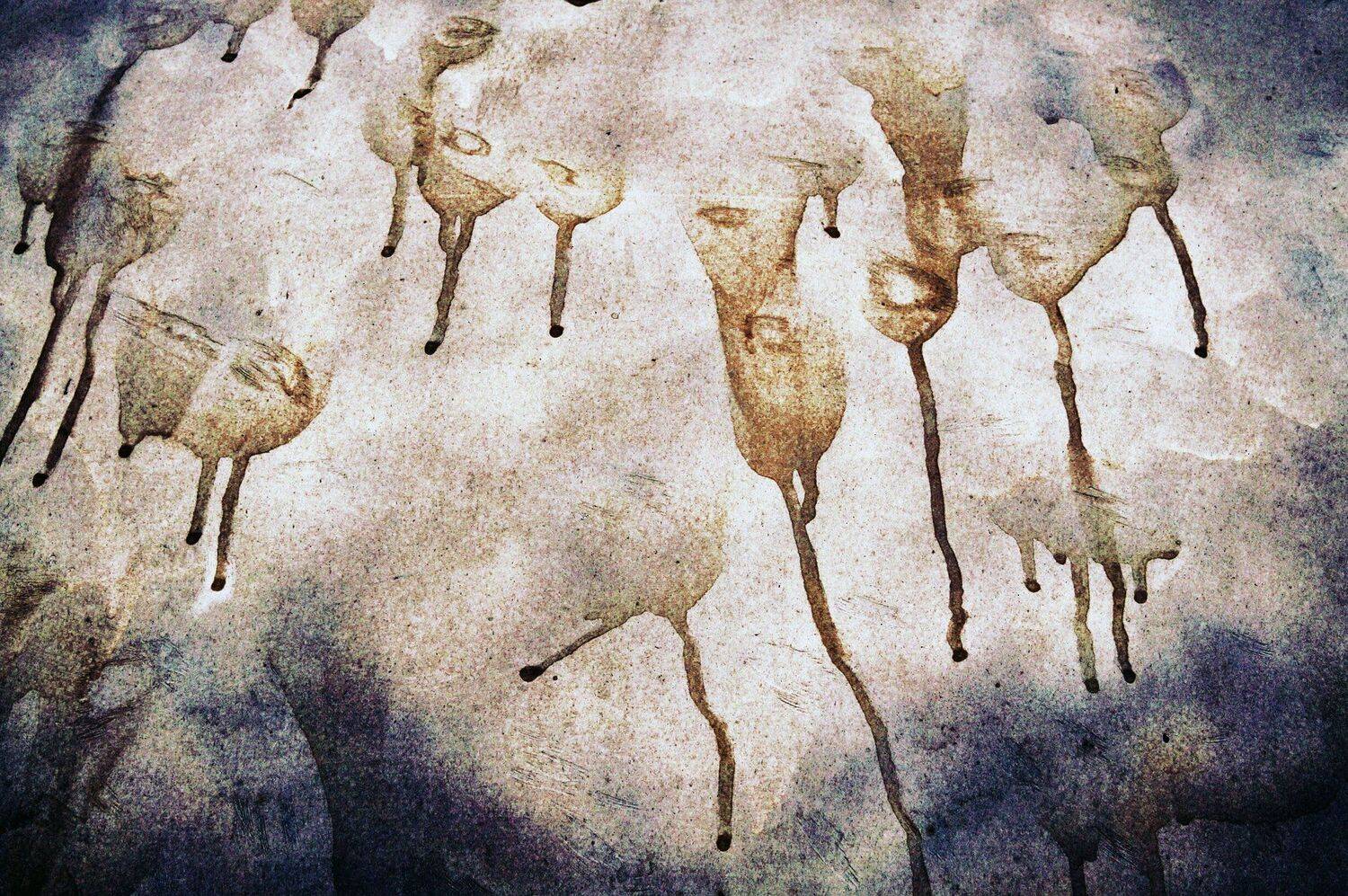 , ПОЛУЕВ ИЛЬЯ