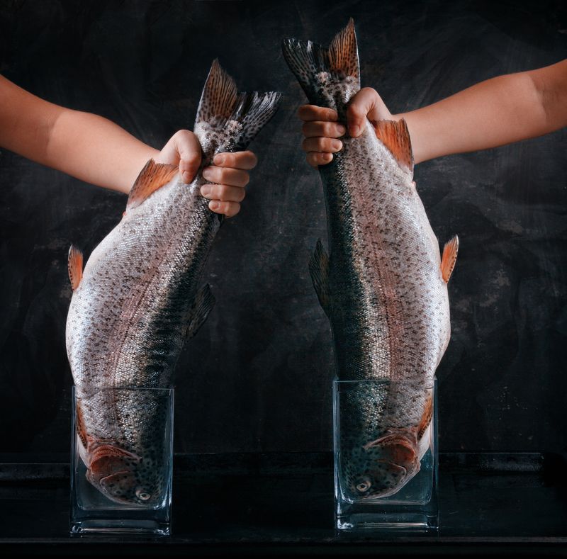 рыба, форель, рука, емкость, вода, фуд фотография big fish фото превью