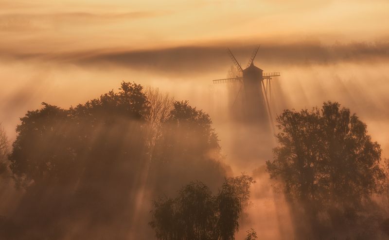 Foggy guard