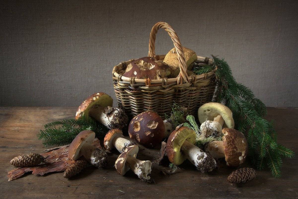 сергей алексеев, натюрморт, грибы, Сергей Алексеев