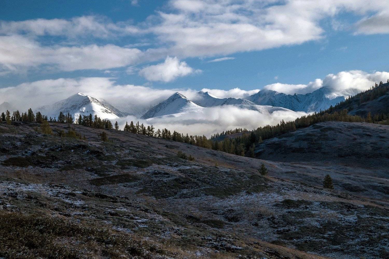 природа пейзаж алтай утро горы вершины облака ештыколь курайский хребет, Людмила
