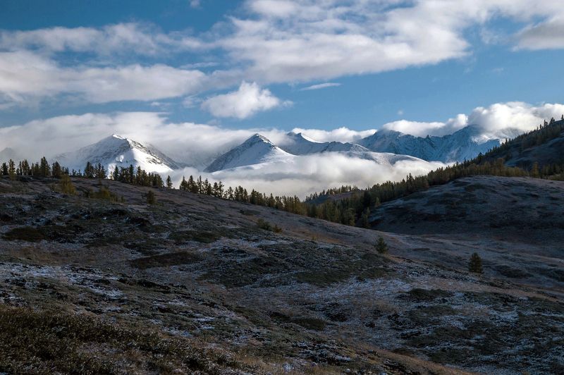 природа пейзаж алтай утро горы вершины облака ештыколь курайский хребет На рассвете... фото превью