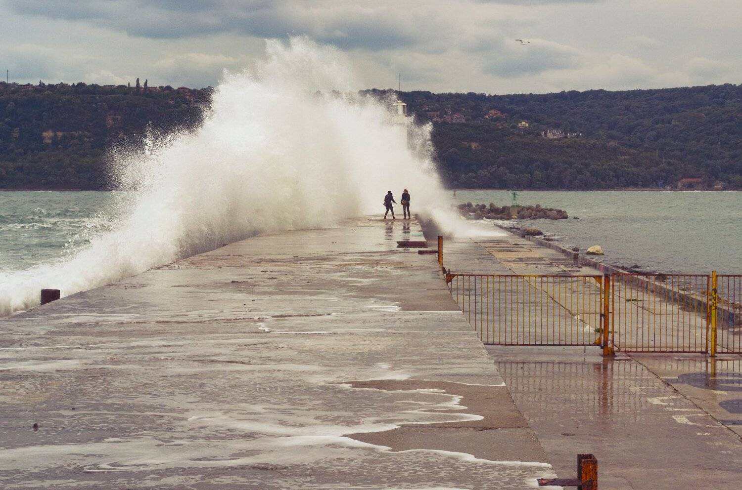 , Мартин Костадинов