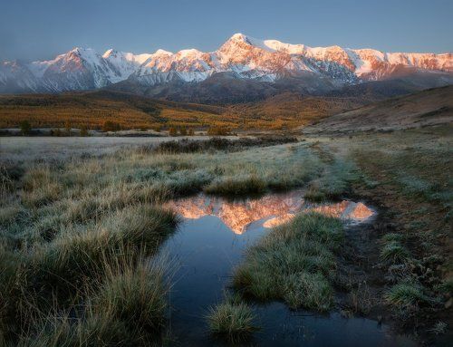 Отражение утра