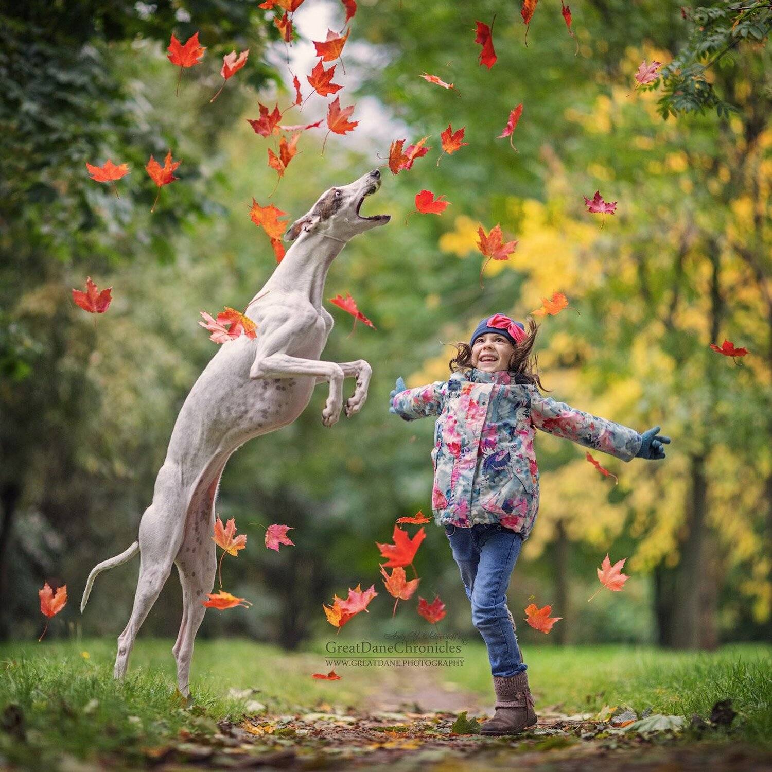 , Андрей Селиверстов