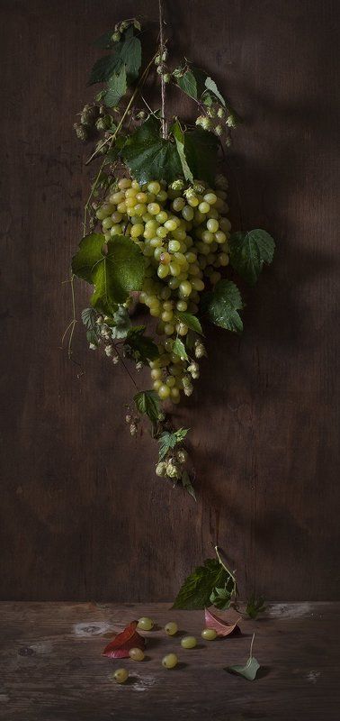 натюрморт,still life, виноград Натюрморт с виноградом фото превью