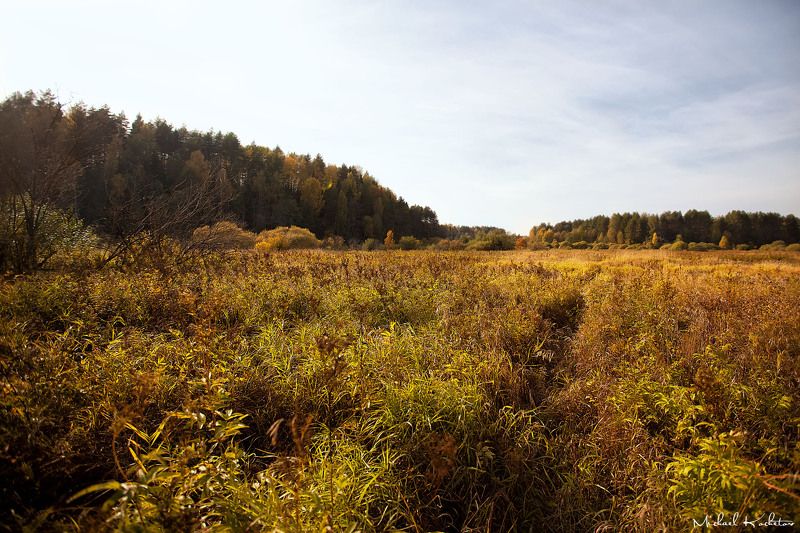 The field фото превью