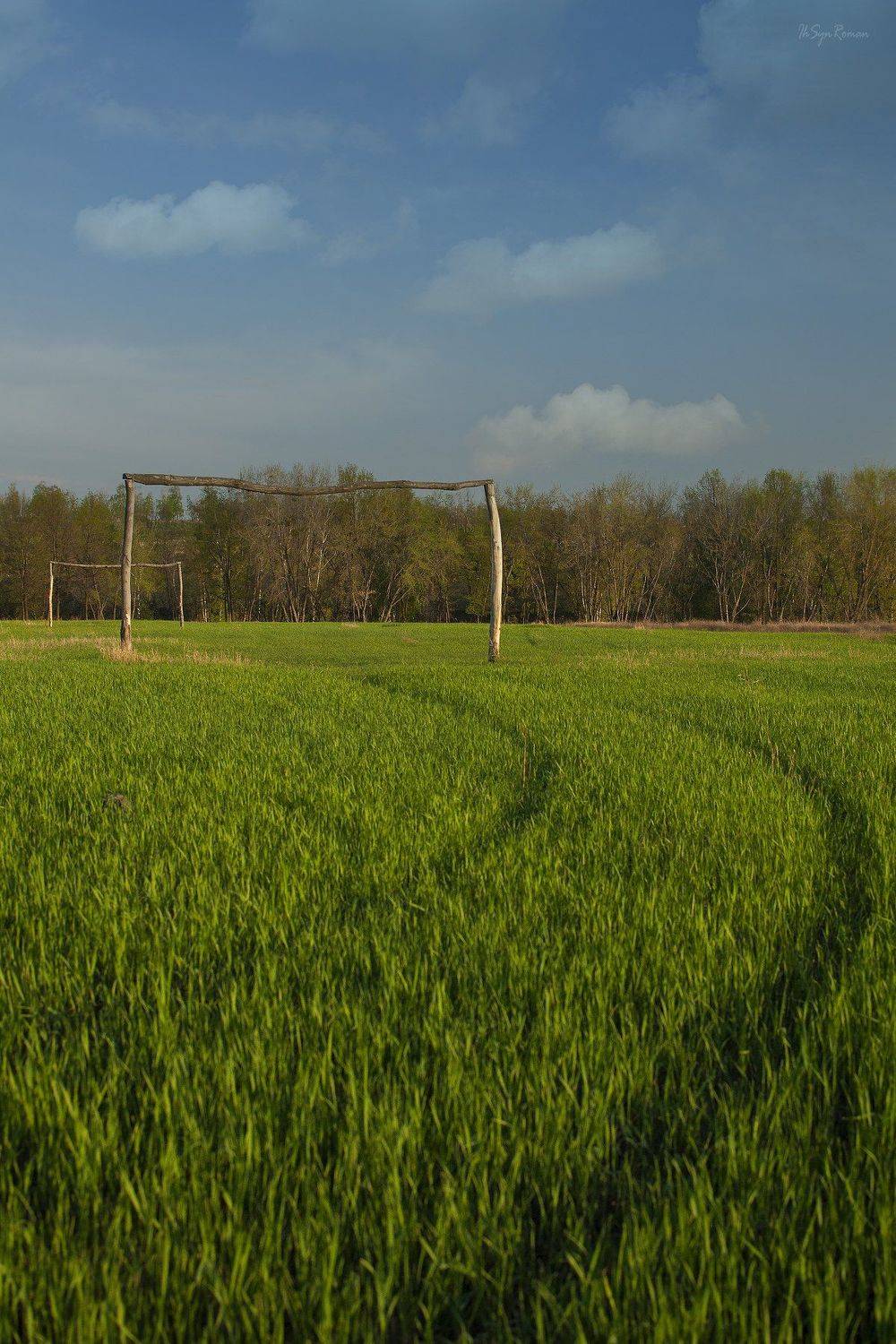 осень,утро,поле,посадка,трава, Roma  Chitinskiy
