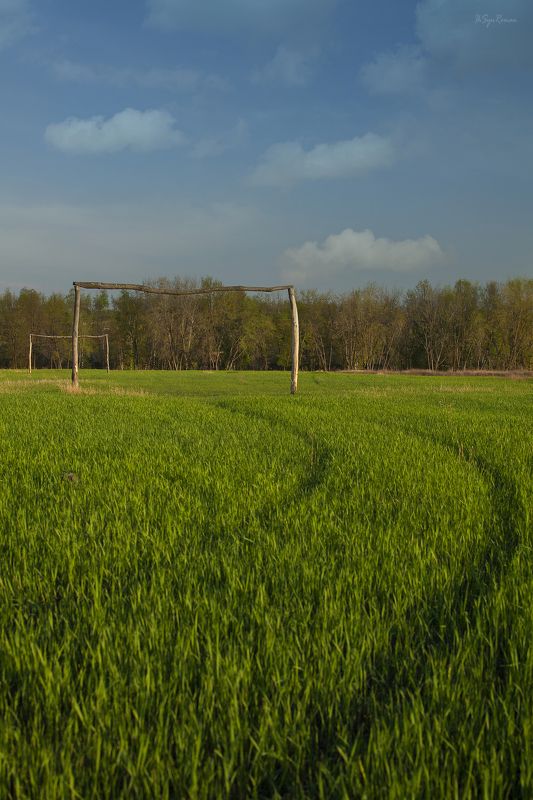 осень,утро,поле,посадка,трава Ворота осени ... фото превью