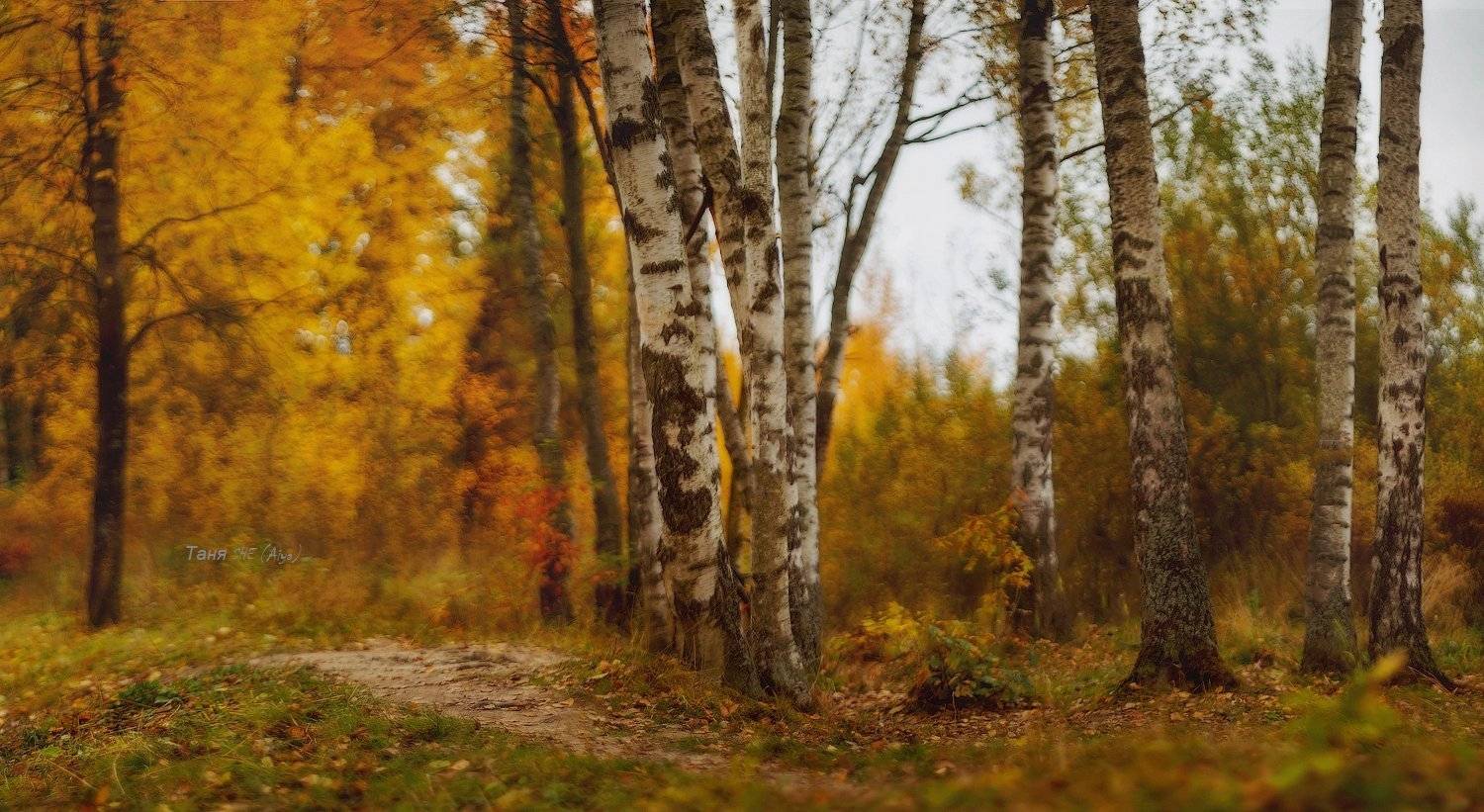 гелиос,helios, пушкин, царскоесело, царское, осень, баболовскийпар, Таня SHE (Aiya)