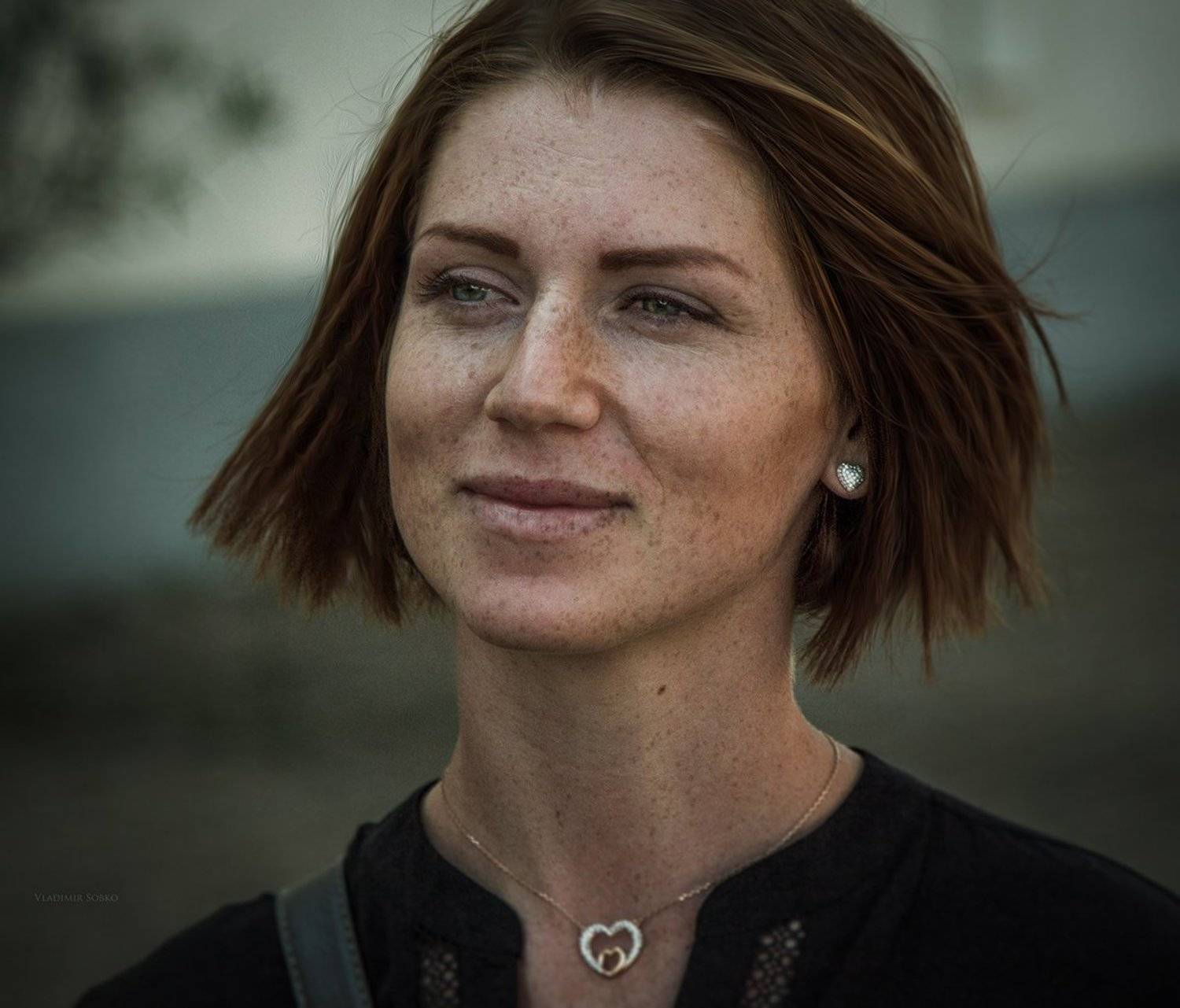 , Собко Владимир