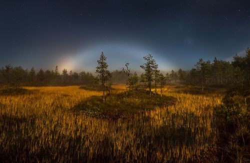 Лунная радуга над болотом