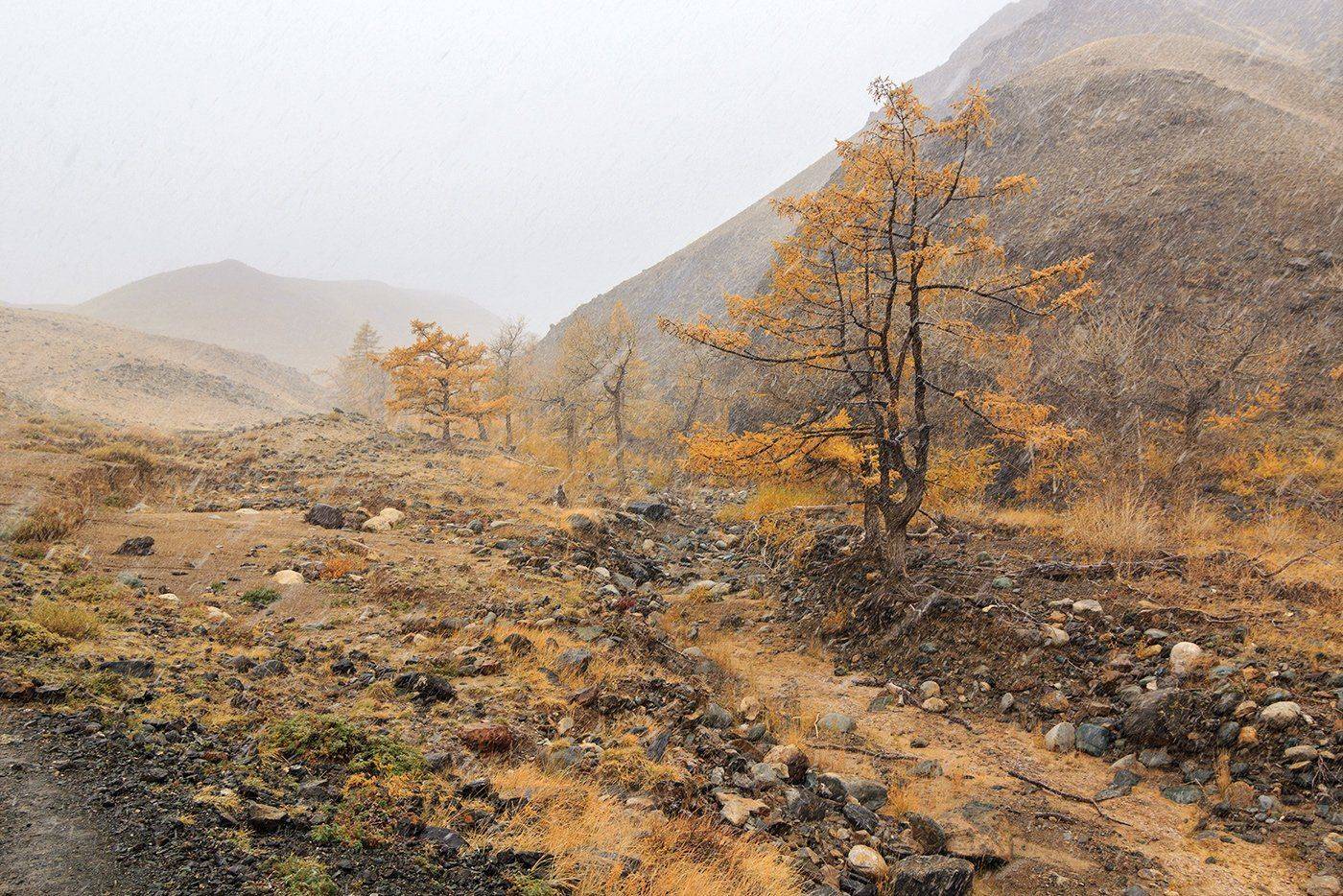 , Дмитрий Д.