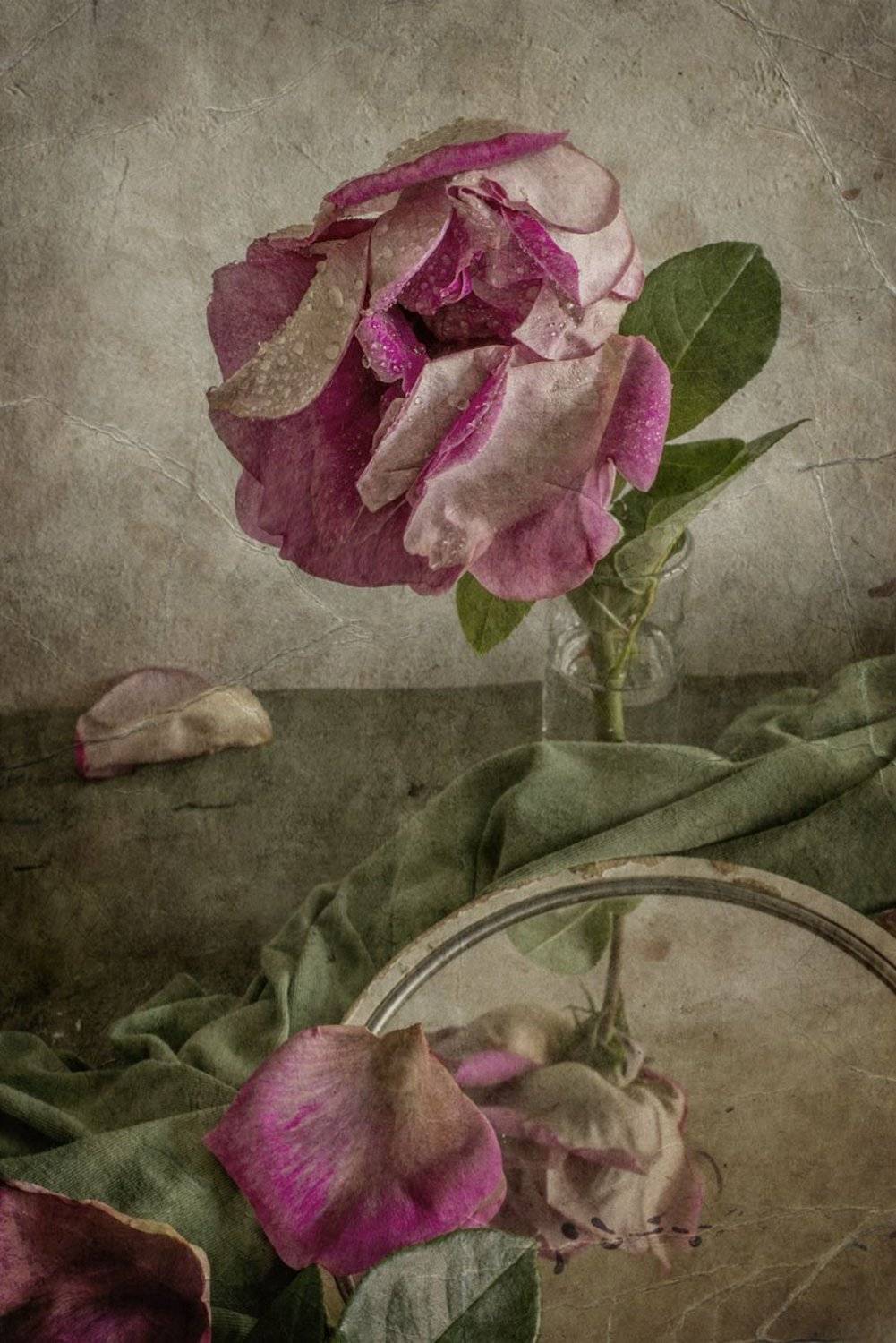 роза, лепестки, увяла, зеркало, драпировка, Игорь Токарев