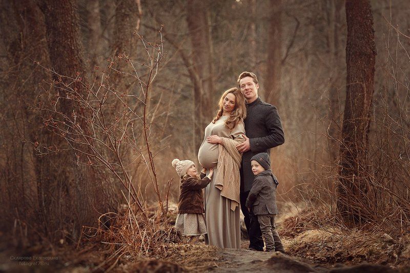 Шоколад фото превью