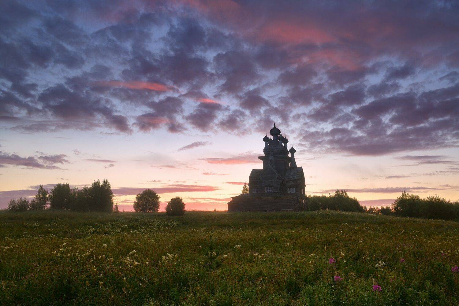 , Максим Евдокимов (www.wildphotorus.ru)