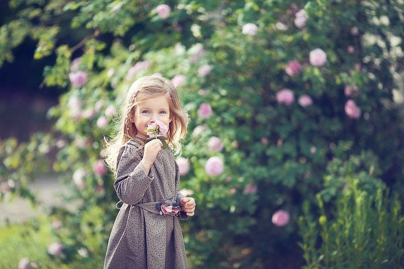 Rose) фото превью