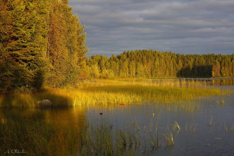 карелия_линдозеро, пейзаж, осень, октябрь, золото, закат, озеро Улыбка осенней Карелии фото превью