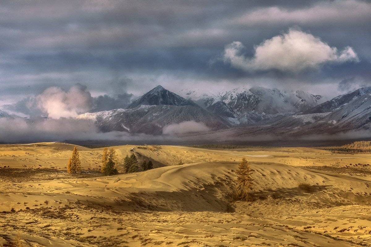 , Андрей Ершов