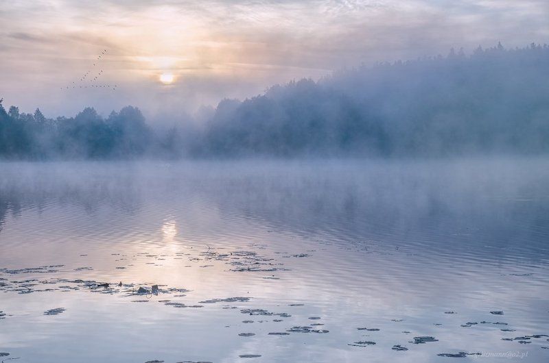 ... фото превью