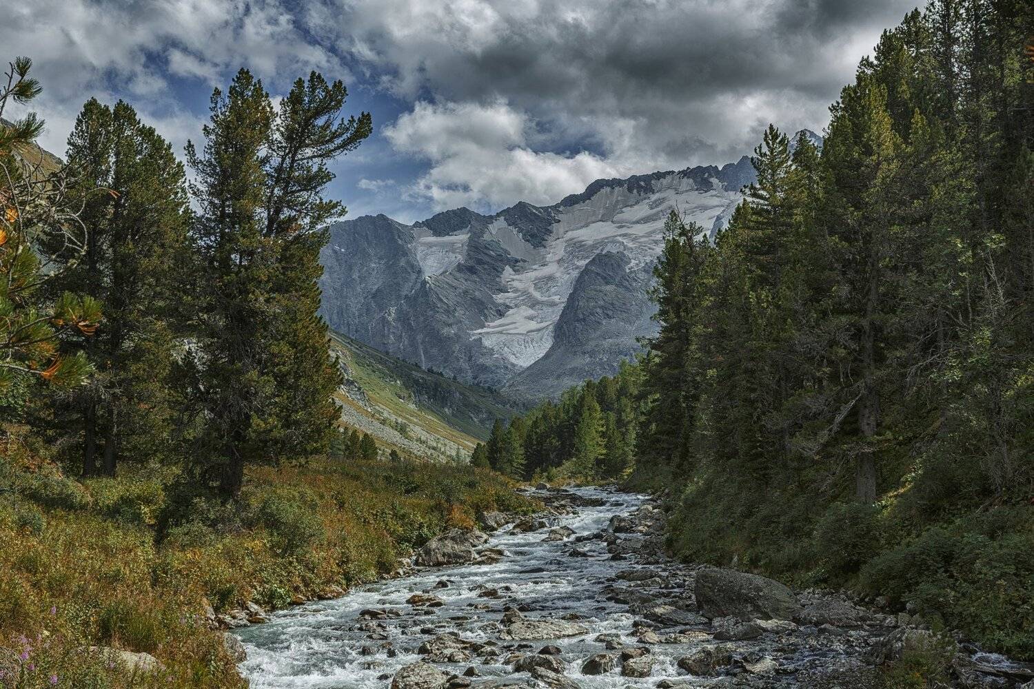 , Шевченко Николай