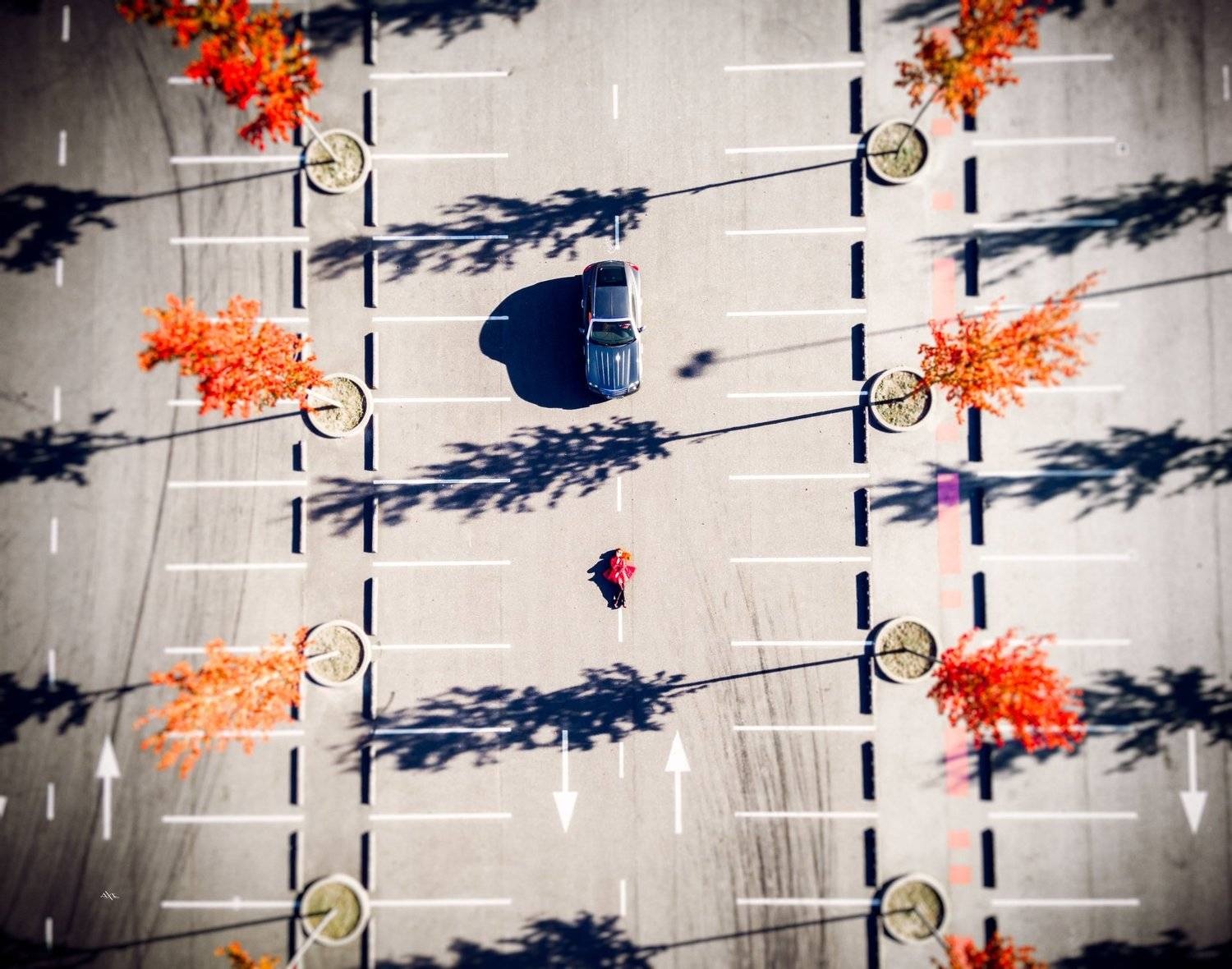 woman, natural light, drone, car, Руслан Болгов (Axe)