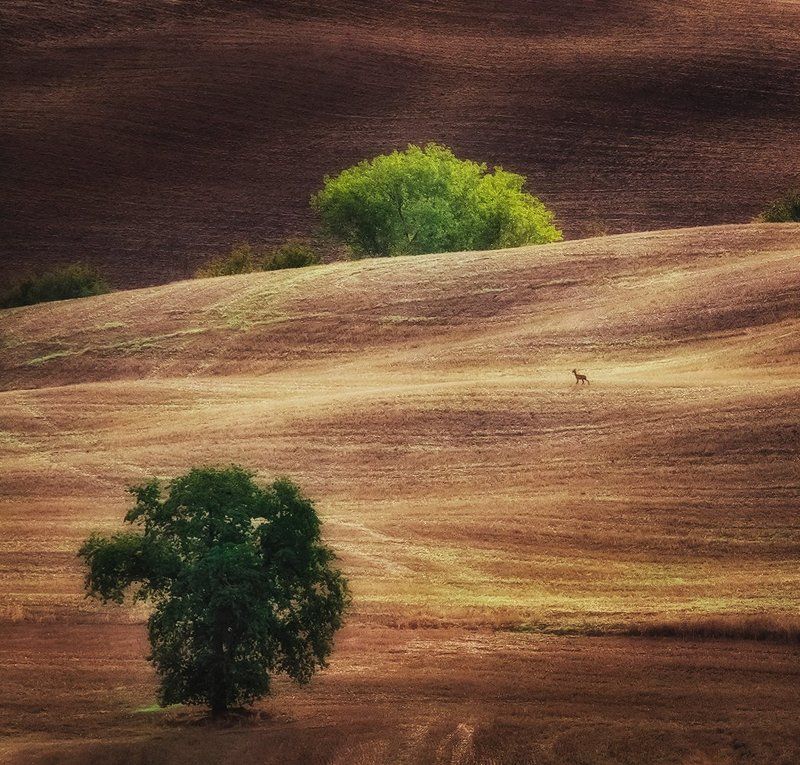 Tuscany фото превью