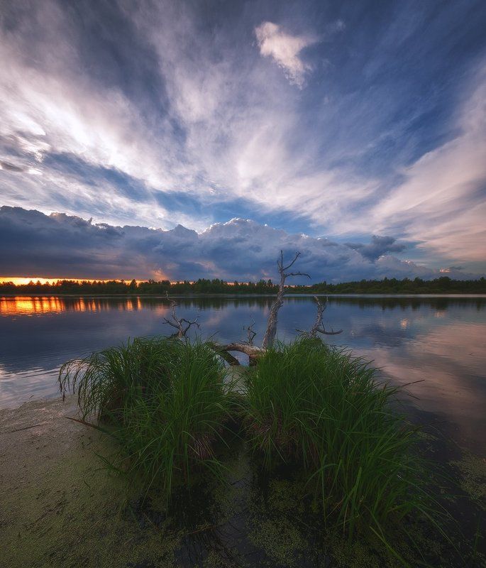 россия, подмосковье, весна, вечер, закат, озеро, небо, облака, вода, свет, солнце, деревья, трава В ожидании заката фото превью