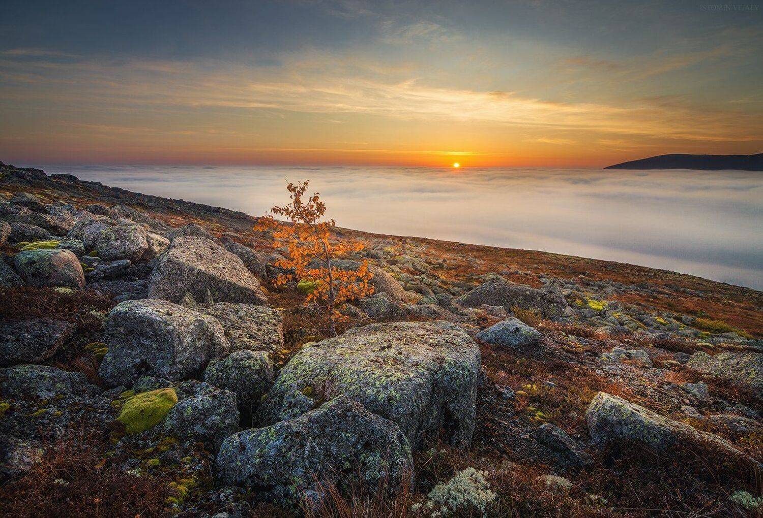 пейзаж,закат,айкуайвенчорр,хибины,свет,осень,панорама,небо,дерево,перспектива,солнце,камни,туман, Виталий Истомин