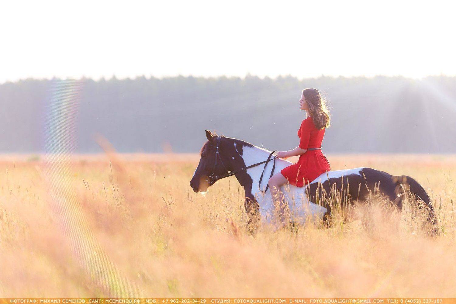 horse #михаилсеменов #фотографярославль #сертификат #подарок #фотослошадкой #аквалайт #свет #красота #модель #наездница #ночь #эквитерра, Михаил Семенов