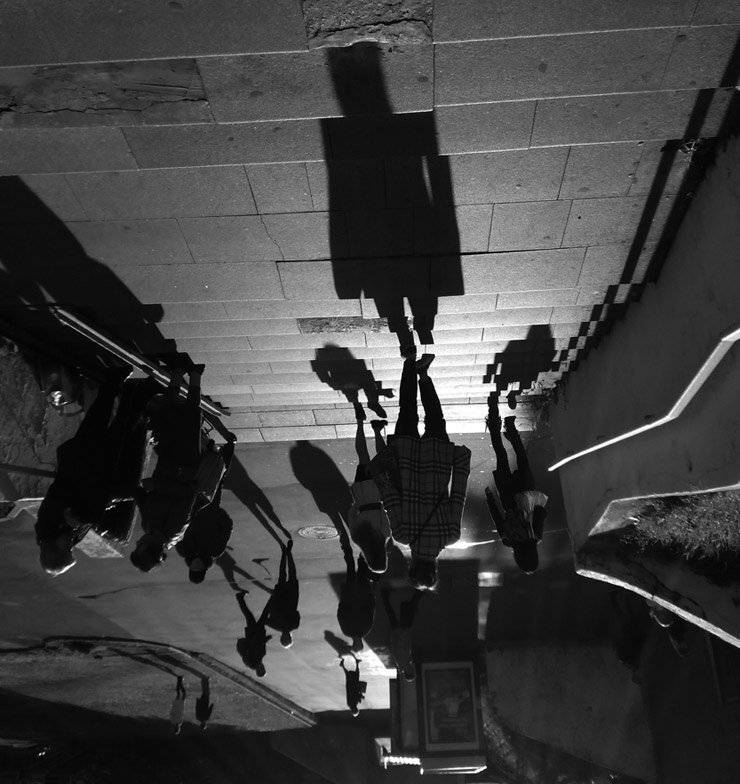 , Петр Стуль