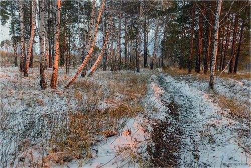Первый снег