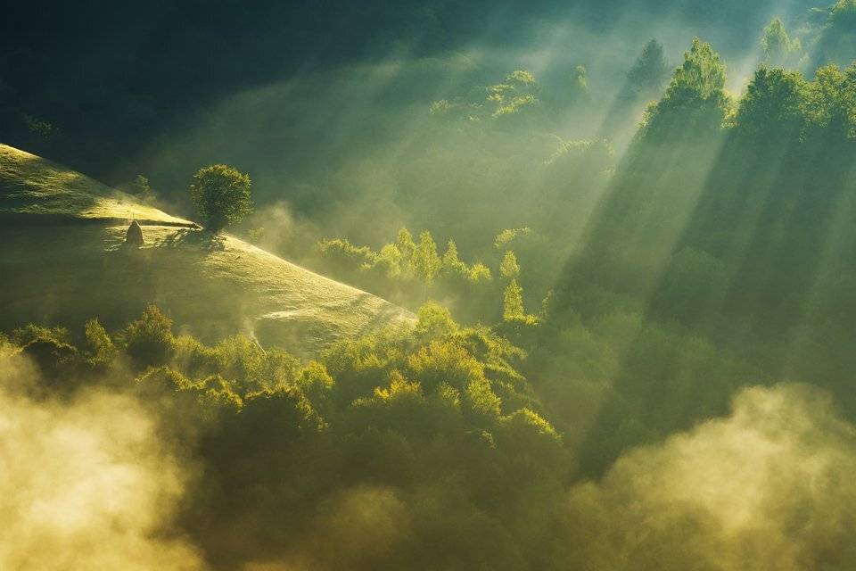 , Stefan Chirobocea