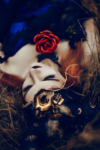 Where wild roses grow