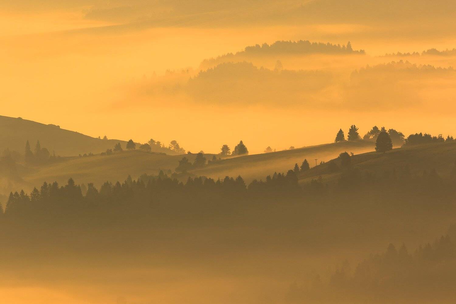 , Łukasz Sok&oacute;ł