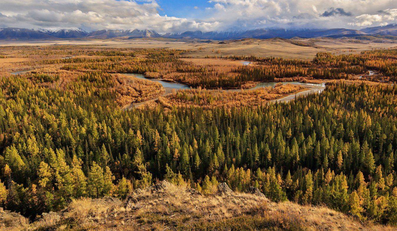 , Дмитрий Д.