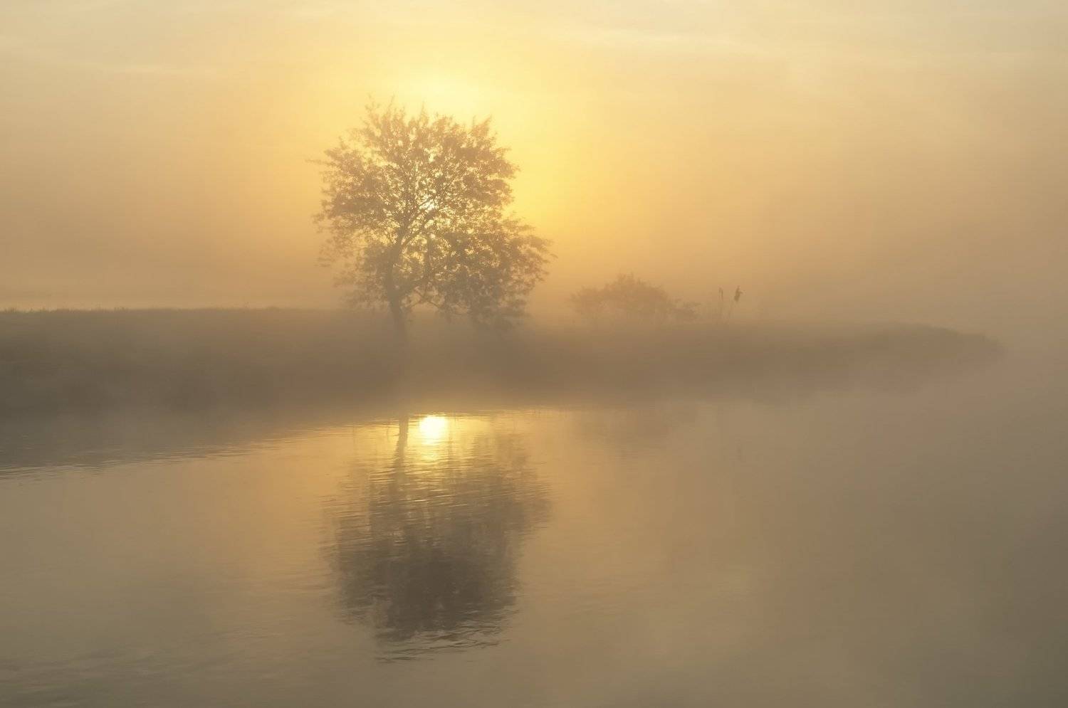 утро, туман, солнце, свислочь, Александр Гвоздь
