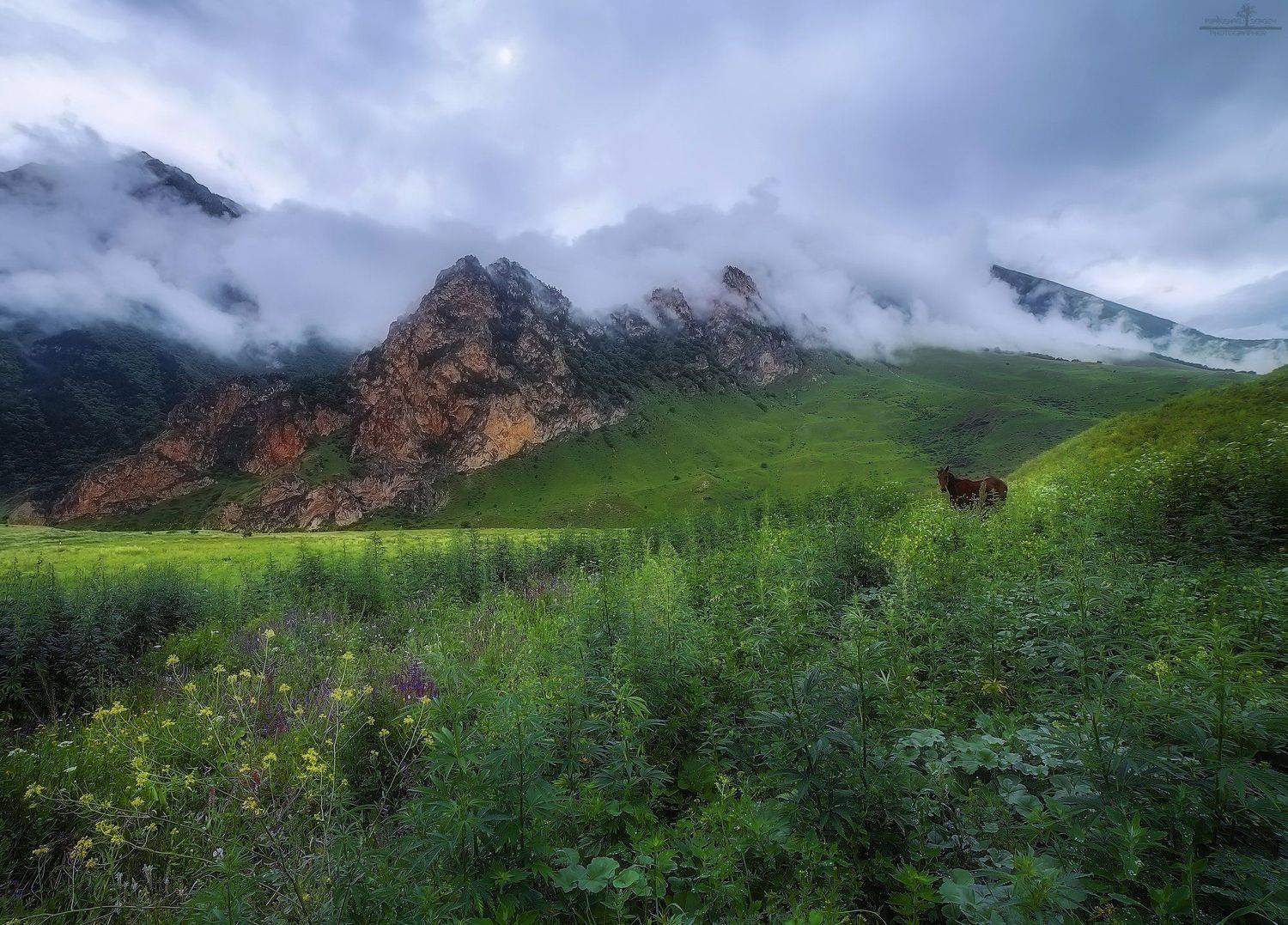 чегем, Попрошаев Сергей