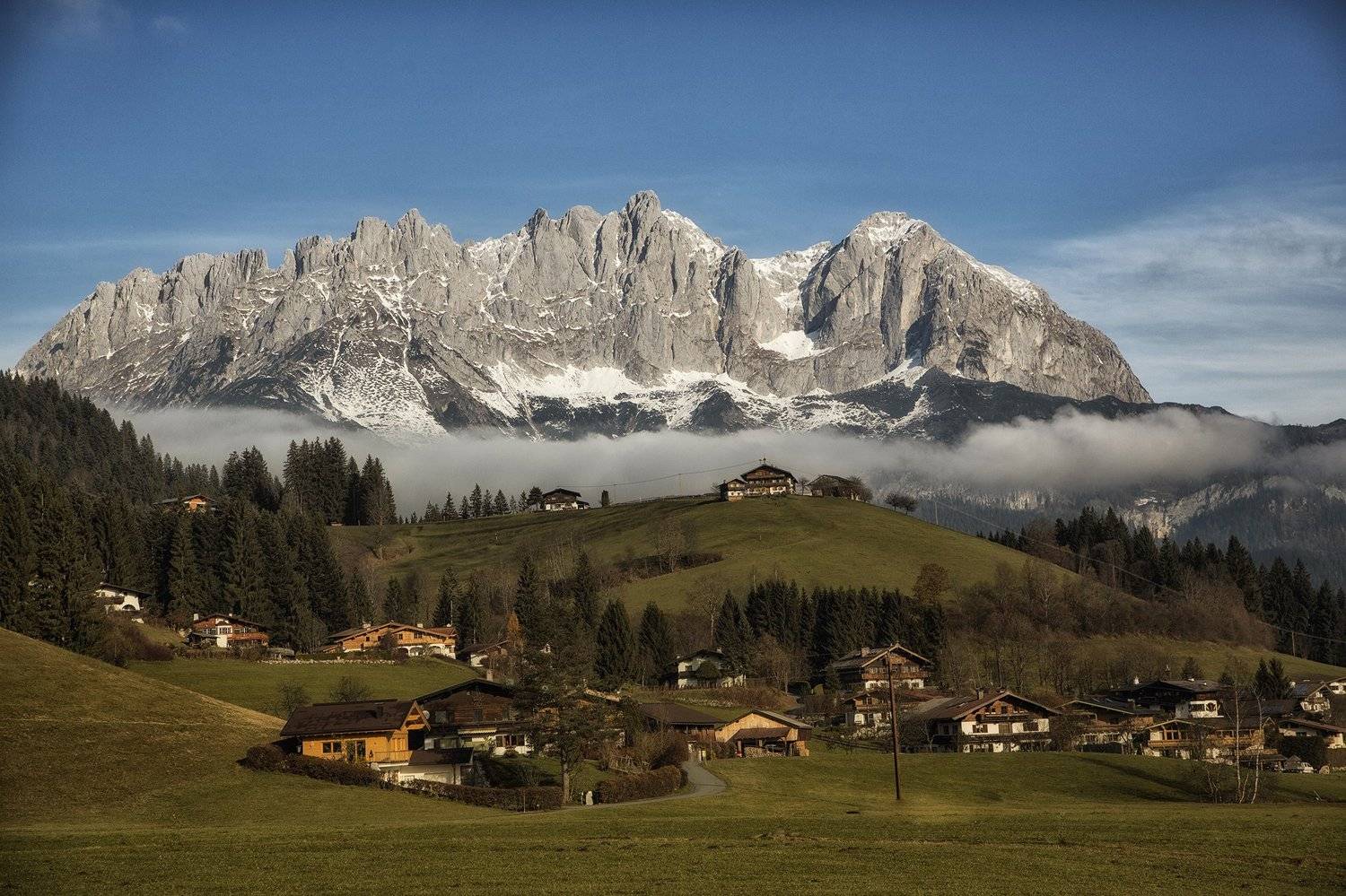 , Desislava Kuleshova