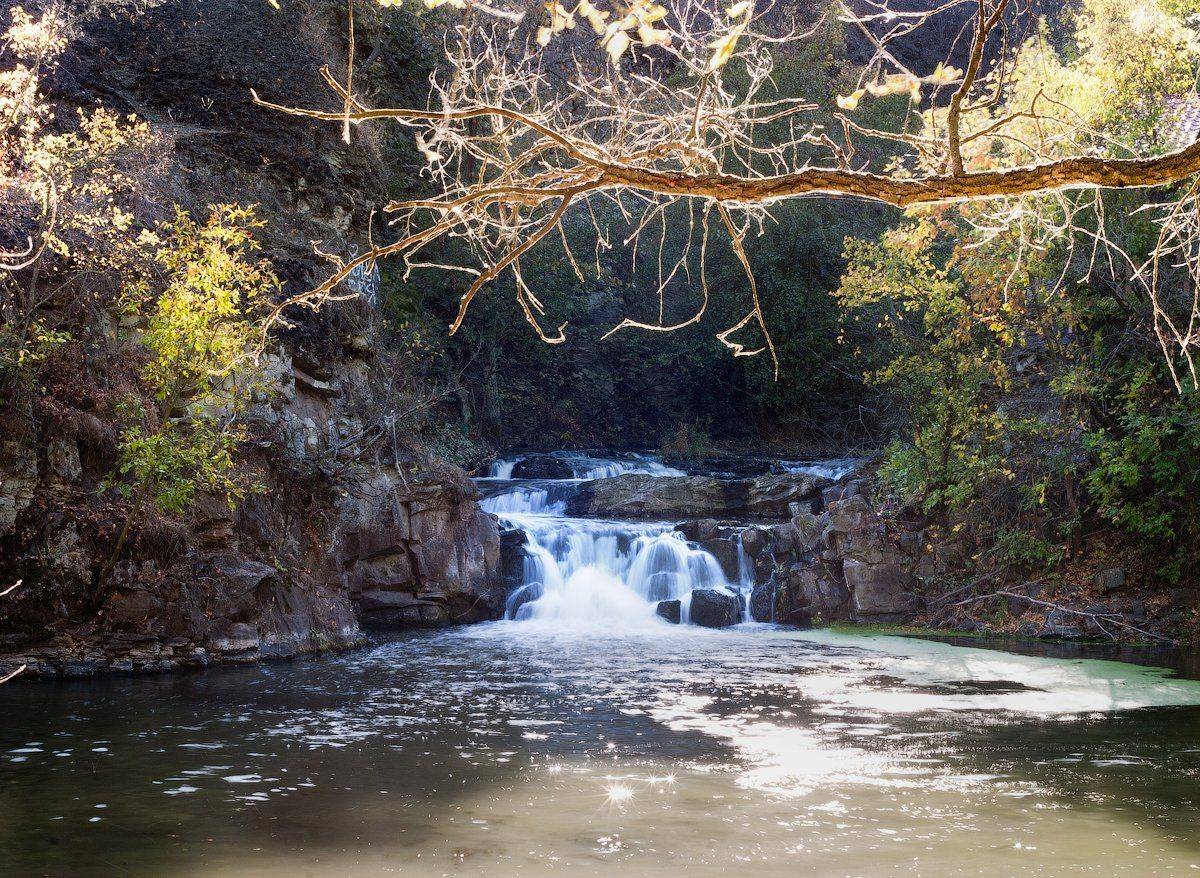 , Дитковский Евгений